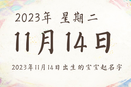 20231114ճıƼ