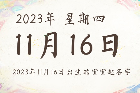 20231116ճıƼ