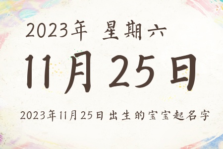 20231125ճıƼ