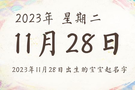 20231128ճıƼ