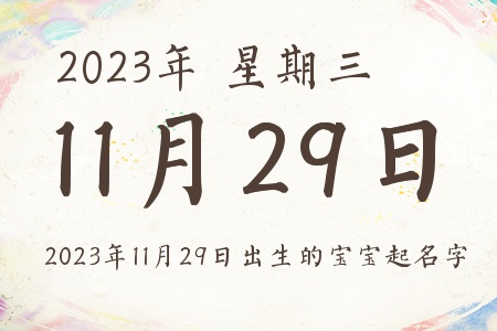 20231129ճıƼ